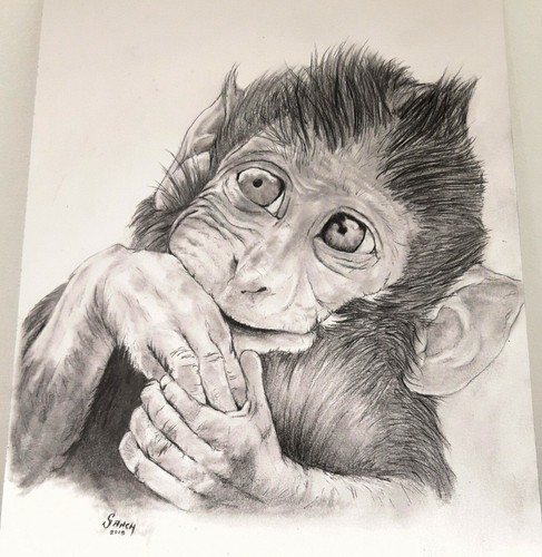 Pet animal custom portrait from your photographs A4 A3 A5 - Photo 4 sur 8