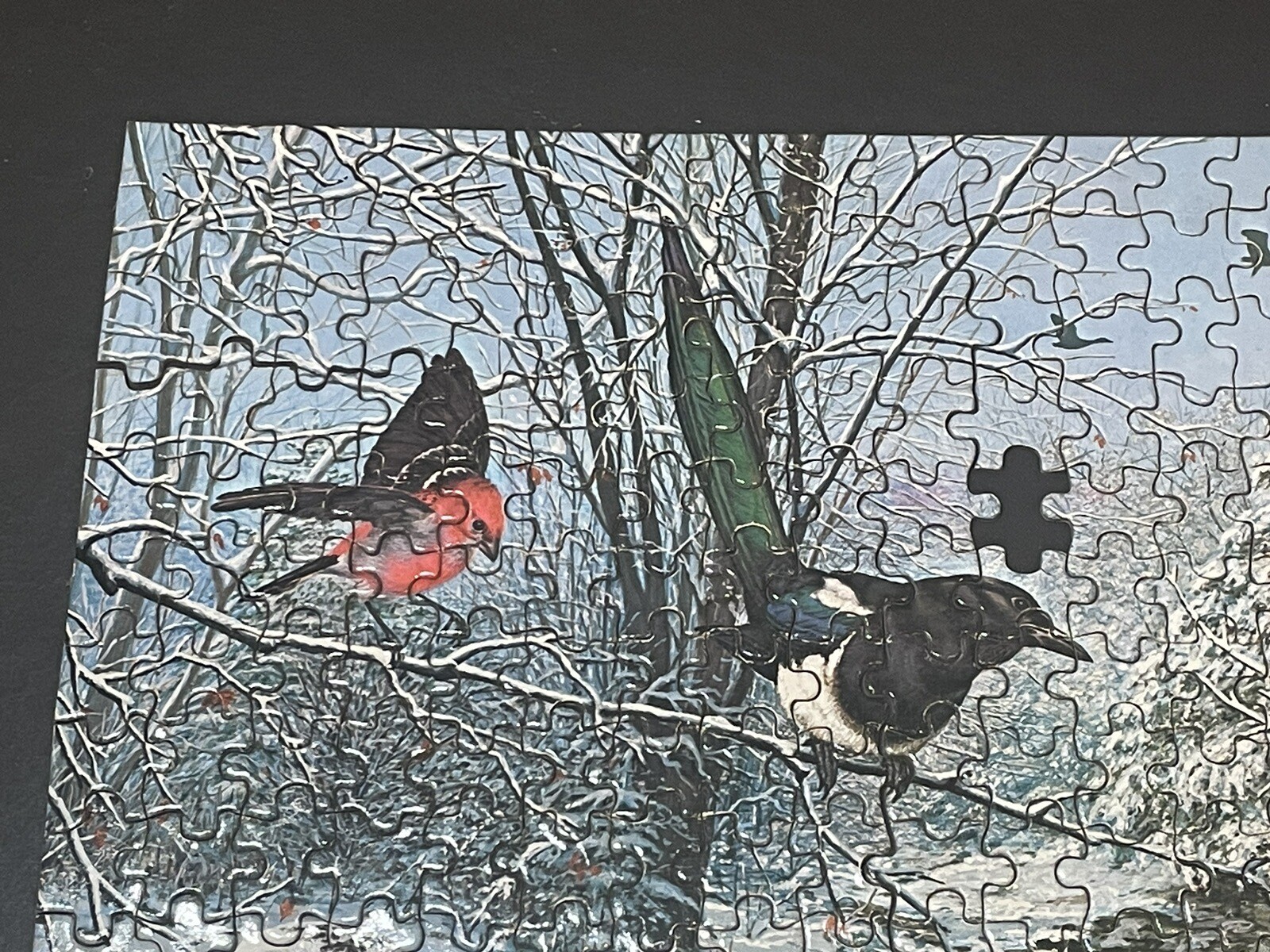 Picture 6 of 7