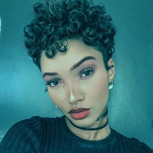 Short Pixie Cut Wig Curly Human Hair Wigs Cheap Afro Curly Wig Full Machine Made - Picture 2 of 15