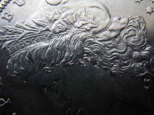 1891P MORGAN SILVER-$-BU/MS++++BETTER DATE-LUSTROUS-NO SCRATCHES-PREMIUM VALUED! - Picture 3 of 11