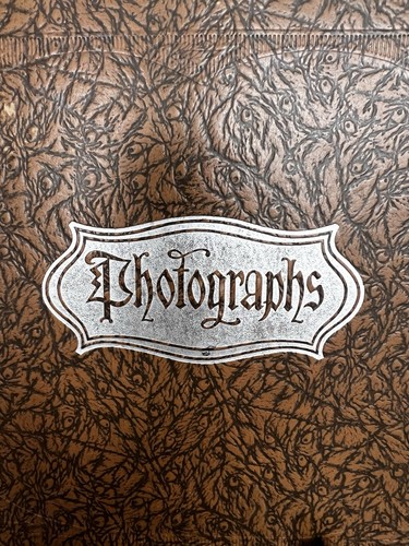 Early 1900's Family Photo Album Same Beautiful Child As She’s Growing Up - Picture 3 of 19