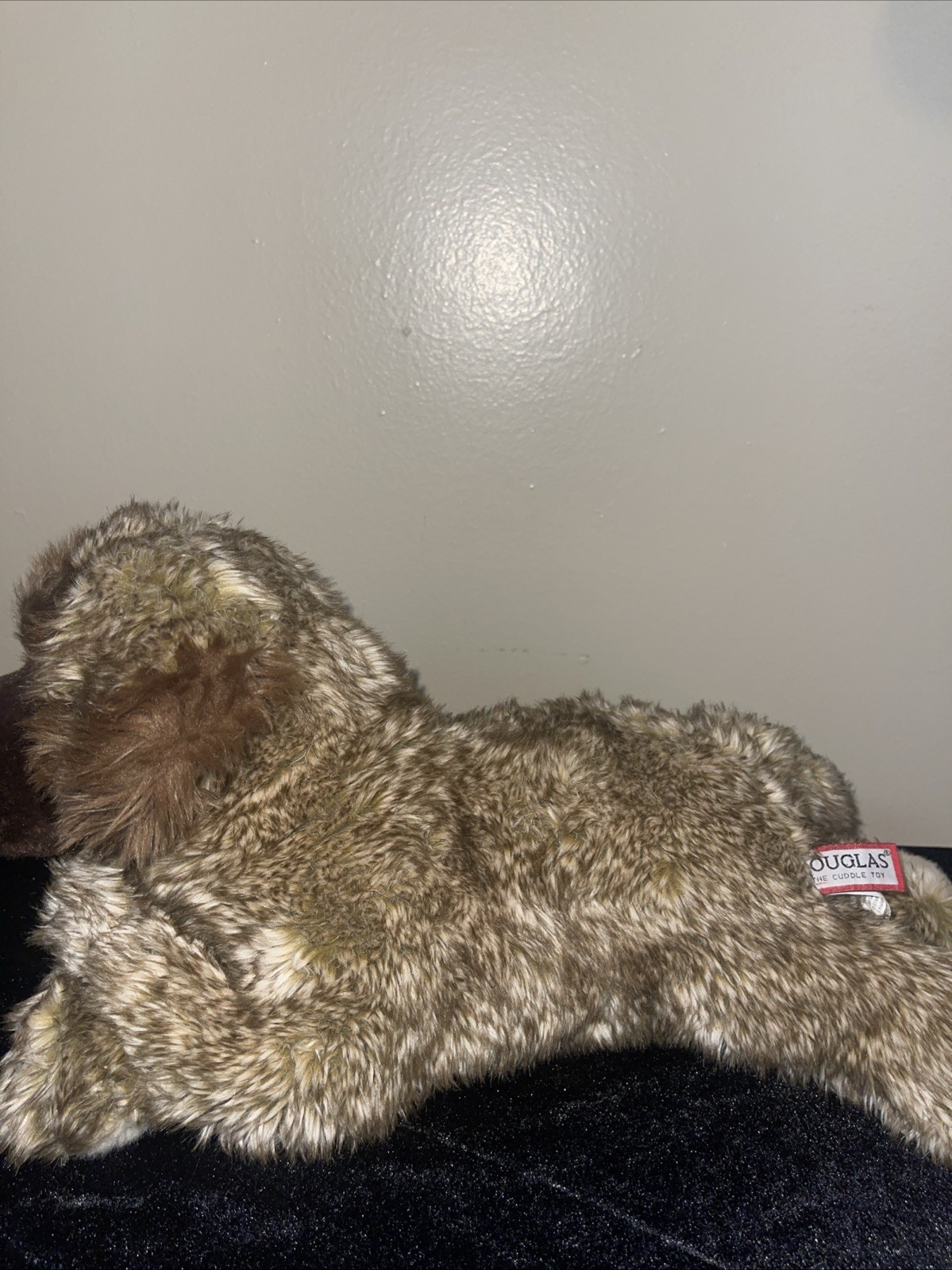 Picture 3 of 13