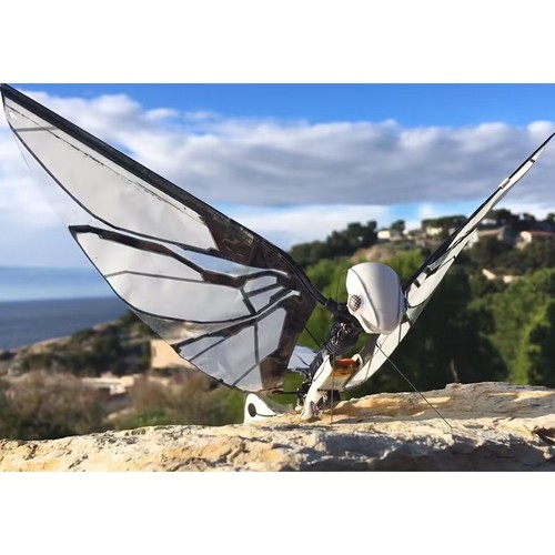Juguete RC Insecto Volador Inteligente Biónico Francés - Mini Drone Mascota con Control - Imagen 6 de 6