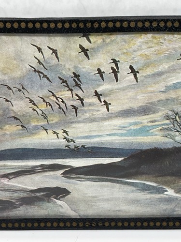 Peter Scott Set Of 3 Small Prints 14.5cm Flying Birds Scenes Hand Framed - Picture 5 of 17