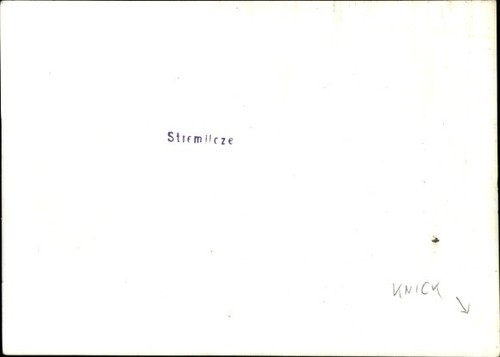 Carte postale photo Stremilcze Pologne, bâtiment ouvert avec expédition toit de chaume - 4675245