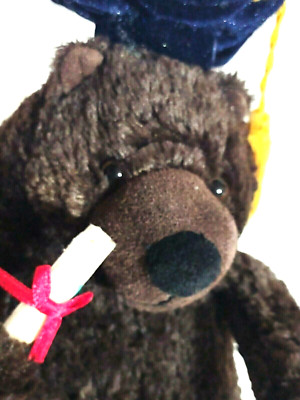Teddy Bear w Graduation Cap & Diploma Plush Stuffed Marcel Schurman Accessorize