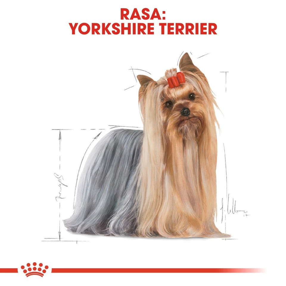 3182550716857 ROYAL CANIN Yorkshire Terrier Adult - dry dog food - 1,5 kg Royal - Imagen 3 de 4