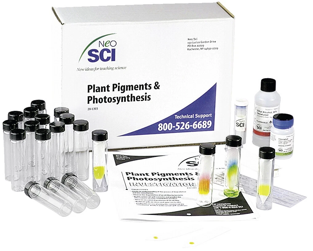 What Are Pigments In Photosynthesis