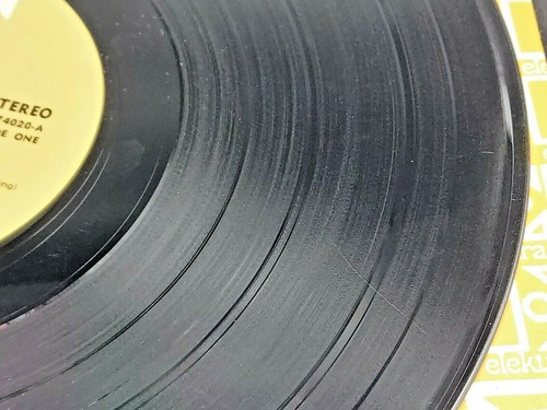 ARS NOVA 60's Baroque Folk Psych Rock NM Elektra Records Gold SELF TITLED DEBUT - Imagen 5 de 8