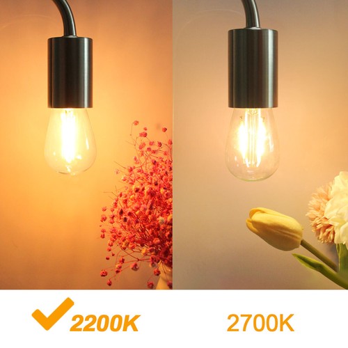 BRIMAX 2W S14 E27 LED Edison Light Bulbs String Light Replacement Shatterproof - Picture 9 of 21