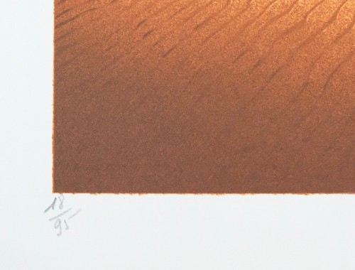 Daniel SCIORA - Estampe originale - Lithographie - Les dunes 2 - Imagen 3 de 4