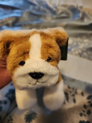 Harrods 7.5" Bulldog Plush Stuffed Toy - Picture 6 of 6