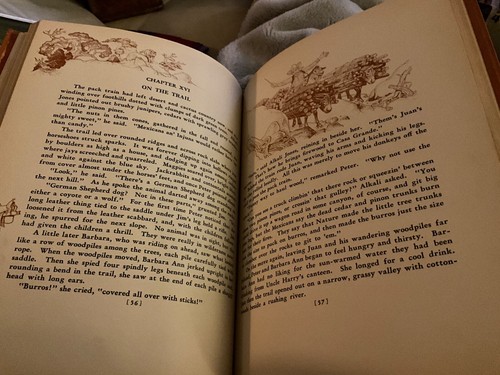 The Book Of Cowboys Holling C. Holling 1936 - 第 8/9 張圖片