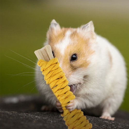 20 Pcs Wechselnde Leiterspielzeug Haustier-Hamster-Spielzeug Hasenkauspielzeug - Bild 12 von 12