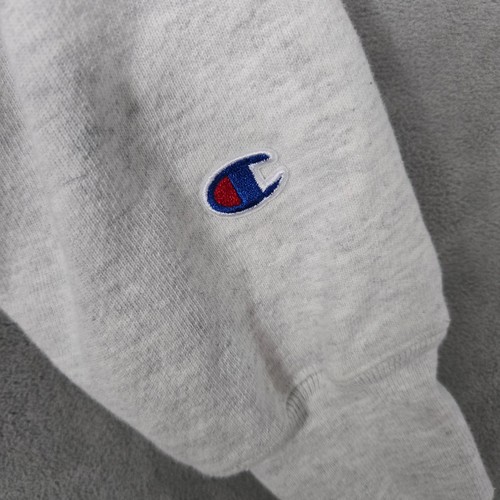 Georgia Bulldogs Gray Champion Reverse Weave Hoodie Sweatshirt Adult Small - Picture 3 of 10