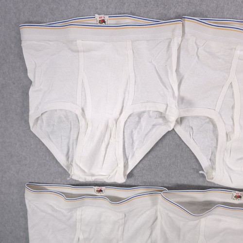 (6) Fruit Of The Loom USA Dad Bear Briefs Tighty Whities Cotton Underwear Men 36 - Picture 5 of 11