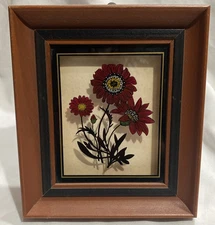 Vintage C & A Richards Framed Botanical Florals Hand Colored on Glass