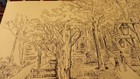 Picture 5 of 10