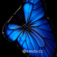 Digital Image Picture Photo Wallpaper Background Desktop AI Art Sample Product