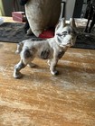 Vintage/Antique Cast Iron Metal Boston Terrier, French Bulldog Black/White, Bank