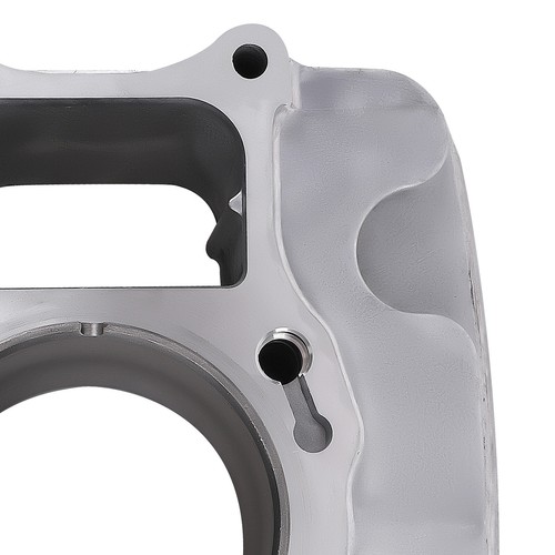 Cylinder Piston Gasket Kit Fit For Honda TRX250 Recon TE TM TRX250 EX 97-2022 - Picture 9 of 12