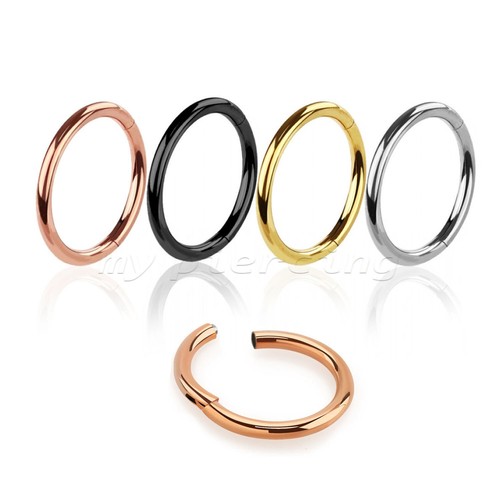 PAIR Hinged Seamless Segment Ring Hoop Earring Cartilage Labret Nose Ring Septum - Picture 2 of 12
