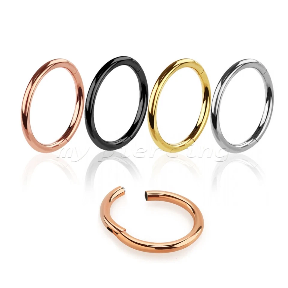 ПАРА на петлях бесшовный сегмент кольцо обруч серьги хряща лабрет нос кольцо перегородки - Изображение 2 из 3
