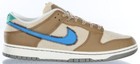 Nike Dunk Low Dark Driftwood