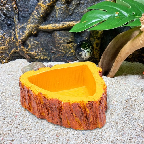 Aquarium Habitat Tortoise Turtle Bowl vente en gros Turtle Water Bowl Reptile Food Dish