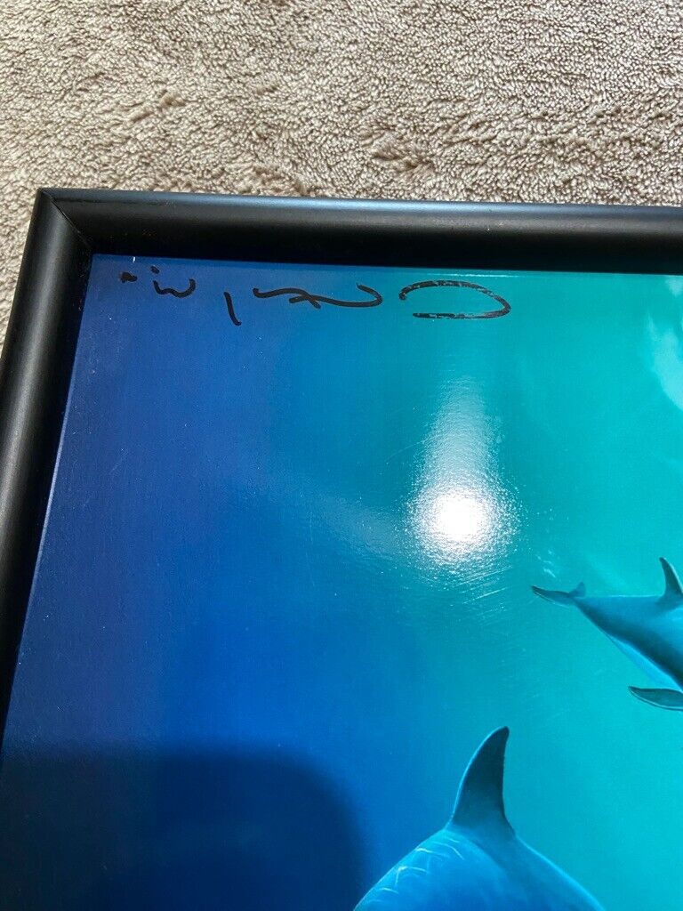 Picture 5 of 9
