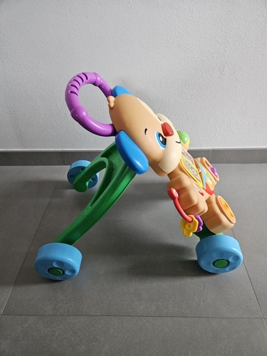 Cagnolino Primi Passi Fisher Price - Foto 3 di 4