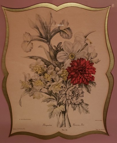 Vintage Antique French Floral Botanical Litho Prints Framed Camille Chantereine - Picture 2 of 12