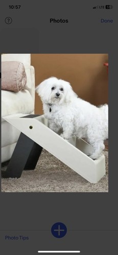 Etna Plastic Folding Pet Steps