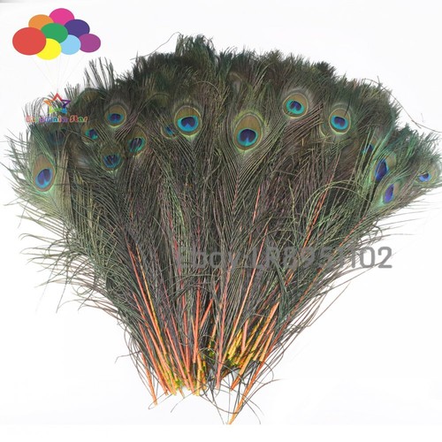 200 Pz/lotto 14 colori qualità piume di pavone lunghezza 40-45 CM belle naturali - Foto 8 di 26