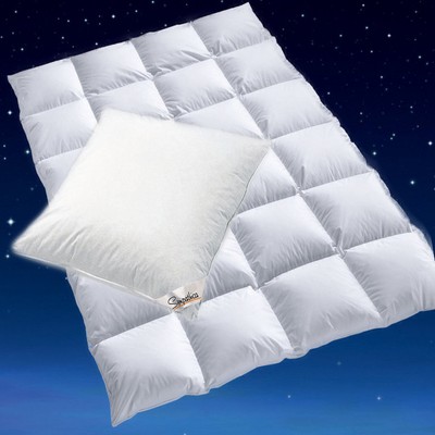 100% sibirische Daunen Bettdecke Daunenbett + Kissen Bettenset 135x200