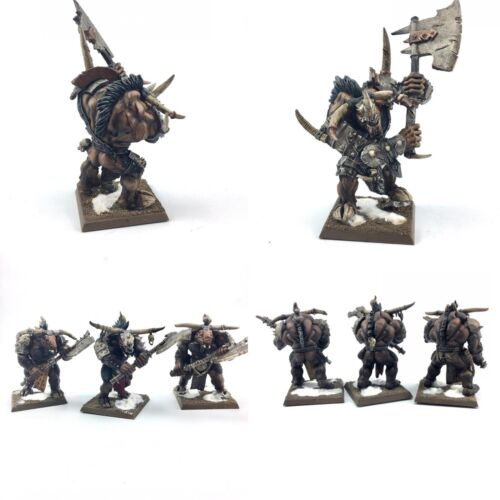 *Age of Sigmar, AOS: Cities of Sigmar w/ Paint Service FREE Shipping - Picture 9 of 63