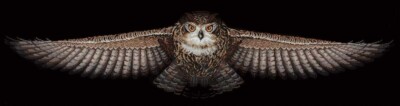 Andriana Make your own Hands Cross Stitch Kit C-44 Owl