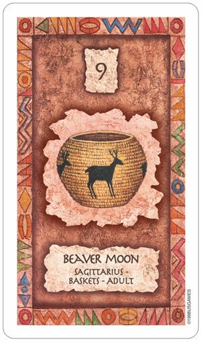 SHAMAN WISDOM CARDS EMPOWERMENT HEALING Inspired by NATIVE AMs Leita Richesson - Picture 5 of 11
