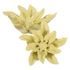 6 stücke wandkunst hängende wand ornament kreative exquisite