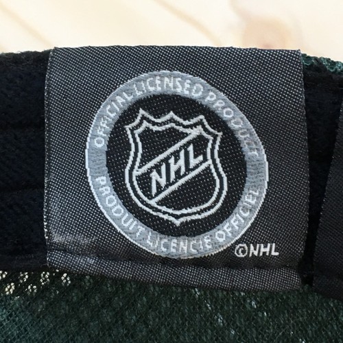 Minnesota Wild NHL Baseball Cap Hat Youth Green OS Fitted Embroidered Logo - Picture 9 of 13