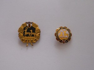 Vintage-Gold-Masonic-Companions-of-the-Forest-of-America-member-pins-set-of-two
