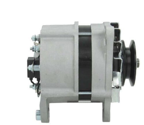 Alternador Alternador 24V Doble Aislamiento para Ford Perkins 6-354 Motorola - Imagen 2 de 6