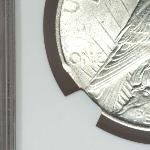 1922 Peace Dollar Curved Clip Error NGC Uncirculated Details Silver $ - Picture 7 of 7