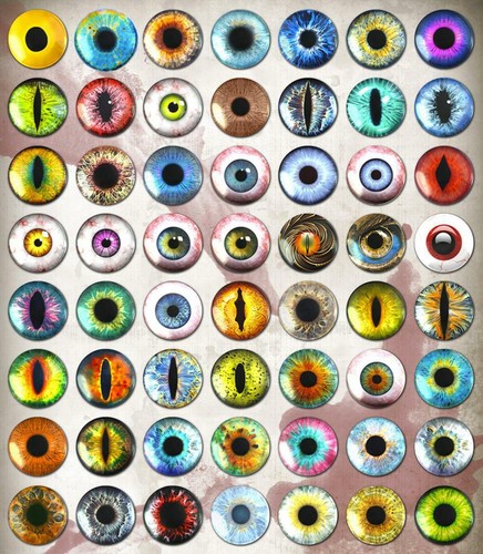 Blue Glass Cat Eyes -PIXEL FREE- Animal Taxidermy Craft Eyeballs 2pc - Picture 3 of 13