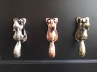 Squirrel Door Knocker 