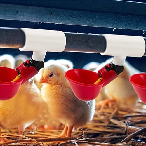 1/2" Chicken Water Cup Waterer PVC Tee Fittings Fully Automatic Waterer 20Pcs - Picture 9 of 11