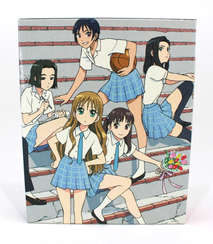 His and Her Circumstances Kare Kano Limited Edition Bluray Box Set Japanese Only - Imagen 2 de 11