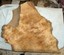 myrtlewood burl art craft turning table counter woodworking approx 24x24x3.25 in