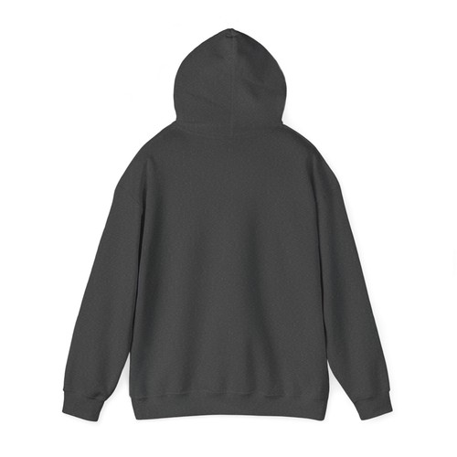 Unisex Heavy Blend™ Hooded Sweatshirt - Picture 24 of 37