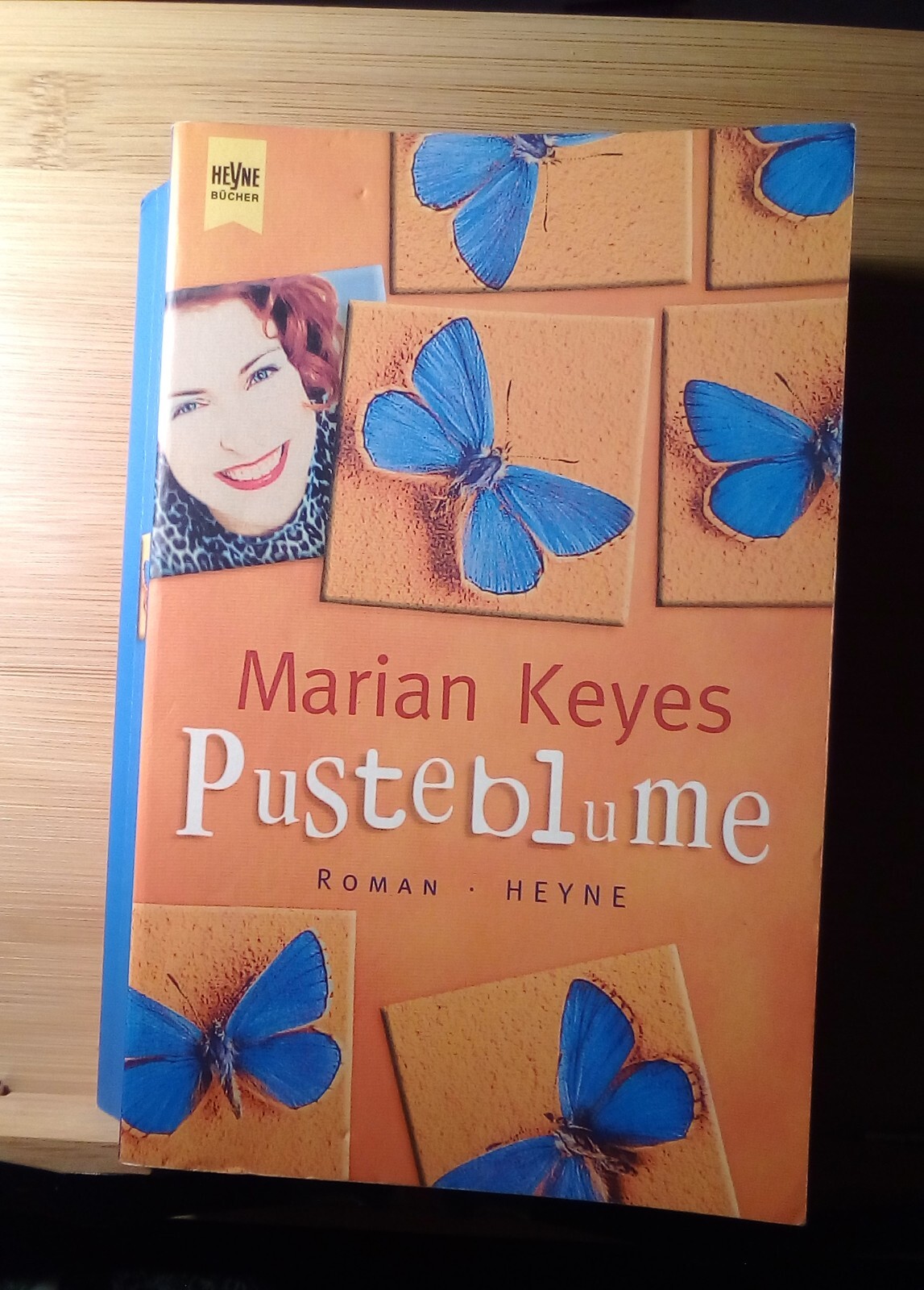 Bild 1